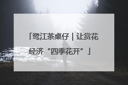 鹭江茶桌仔｜让赏花经济“四季花开”
