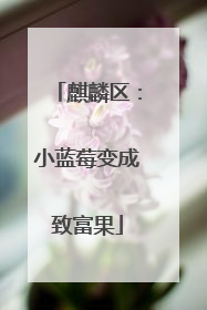 麒麟区：小蓝莓变成致富果