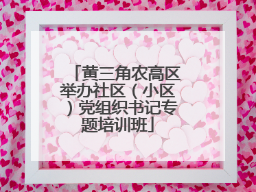 黄三角农高区举办社区（小区）党组织书记专题培训班