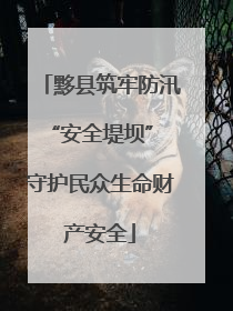 黟县筑牢防汛“安全堤坝” 守护民众生命财产安全