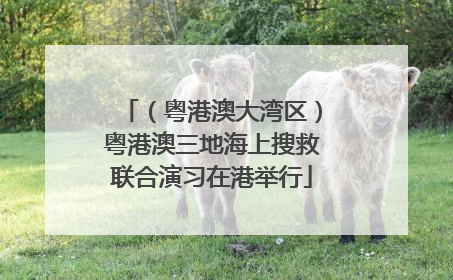 （粤港澳大湾区）粤港澳三地海上搜救联合演习在港举行