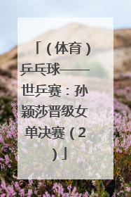 （体育）乒乓球——世乒赛：孙颖莎晋级女单决赛（2）