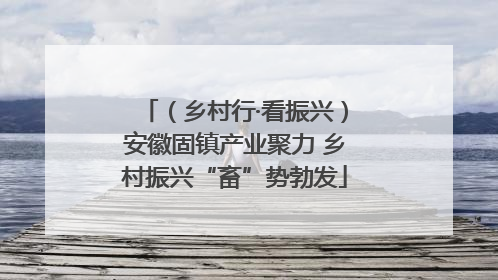 （乡村行·看振兴）安徽固镇产业聚力 乡村振兴“畜”势勃发