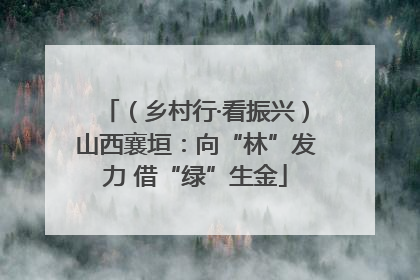 （乡村行·看振兴）山西襄垣：向“林”发力 借“绿”生金