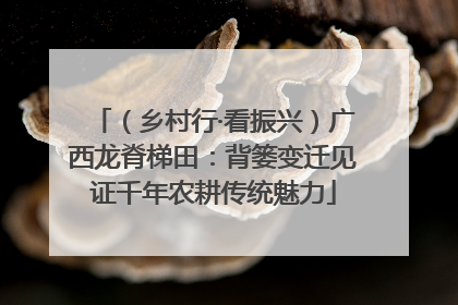 （乡村行·看振兴）广西龙脊梯田：背篓变迁见证千年农耕传统魅力
