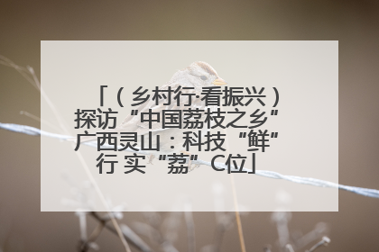 （乡村行·看振兴）探访“中国荔枝之乡”广西灵山：科技“鲜”行 实“荔”C位