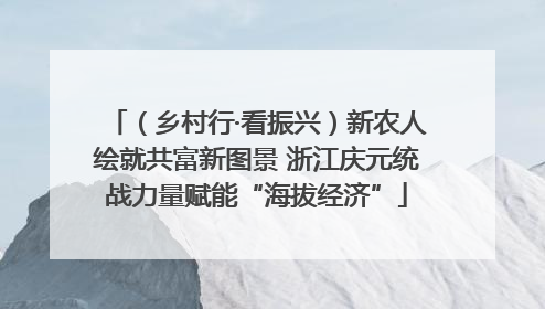 （乡村行·看振兴）新农人绘就共富新图景 浙江庆元统战力量赋能“海拔经济”