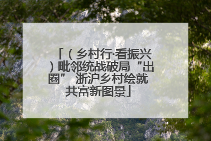 （乡村行·看振兴）毗邻统战破局“出圈” 浙沪乡村绘就共富新图景