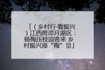 （乡村行·看振兴）江西鹰潭月湖区：杨梅压枝迎客来 乡村振兴添“梅”景