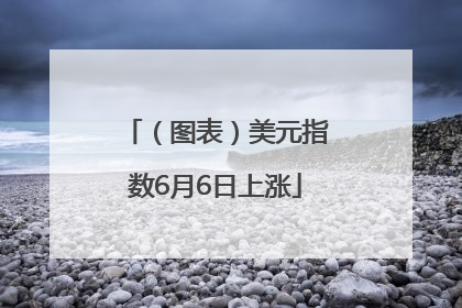 （图表）美元指数6月6日上涨