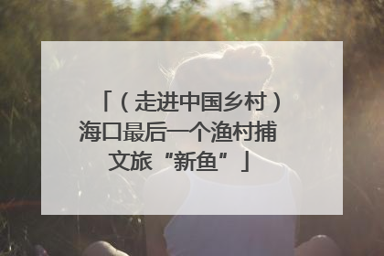 （走进中国乡村）海口最后一个渔村捕文旅“新鱼”