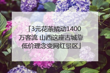 3元花茶撬动1400万客流 山西这座古城靠低价理念变网红景区