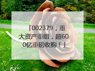 002379，重大资产重组，超600亿重磅收购！
