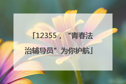 12355，“青春法治辅导员”为你护航