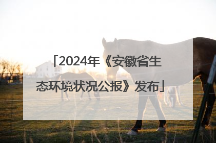 2024年《安徽省生态环境状况公报》发布