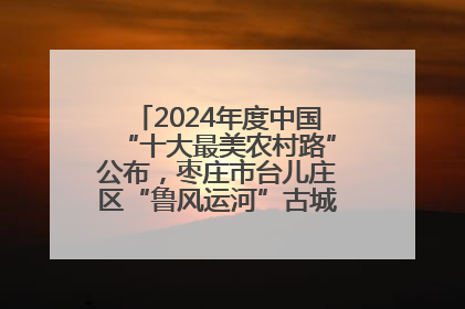 2024年度中国“十大最美农村路”公布，枣庄市台儿庄区“鲁风运河”古城文化廊道上榜！