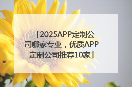 2025APP定制公司哪家专业，优质APP定制公司推荐10家