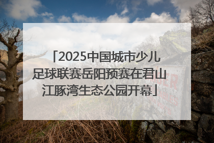 2025中国城市少儿足球联赛岳阳预赛在君山江豚湾生态公园开幕