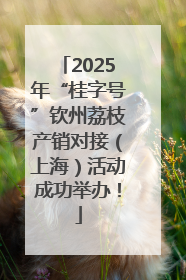 2025年“桂字号”钦州荔枝产销对接（上海）活动成功举办！