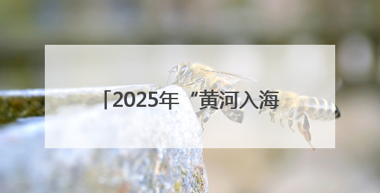 2025年“黄河入海•才聚东营”招才引智高校行活动成功举办