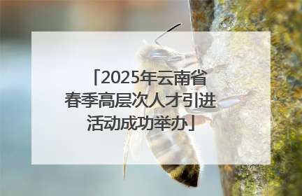 2025年云南省春季高层次人才引进活动成功举办
