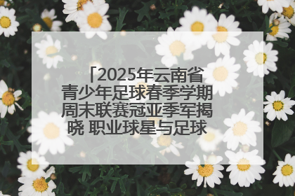 2025年云南省青少年足球春季学期周末联赛冠亚季军揭晓 职业球星与足球小将共享荣耀时刻