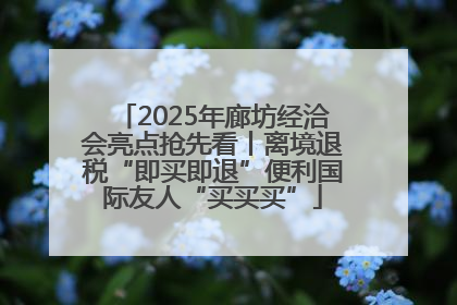 2025年廊坊经洽会亮点抢先看丨离境退税“即买即退”便利国际友人“买买买”