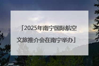 2025年南宁国际航空文旅推介会在南宁举办