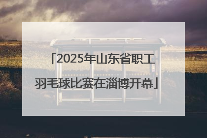 2025年山东省职工羽毛球比赛在淄博开幕