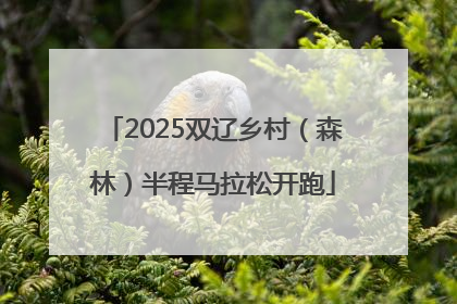 2025双辽乡村（森林）半程马拉松开跑