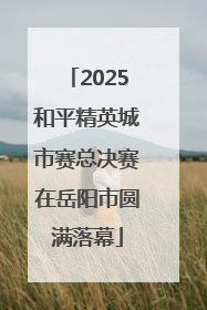 2025和平精英城市赛总决赛在岳阳市圆满落幕