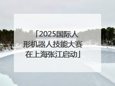 2025国际人形机器人技能大赛在上海张江启动