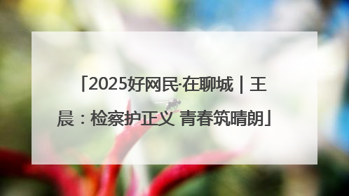 2025好网民·在聊城｜王晨：检察护正义 青春筑晴朗