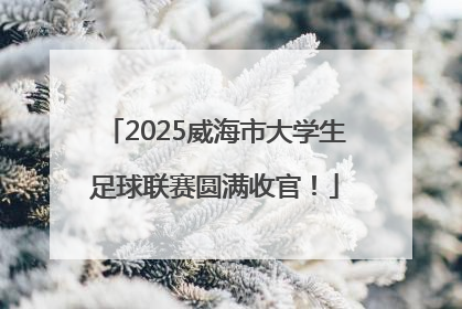 2025威海市大学生足球联赛圆满收官！