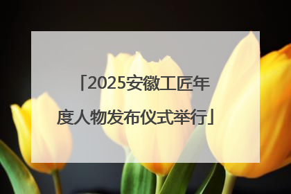 2025安徽工匠年度人物发布仪式举行