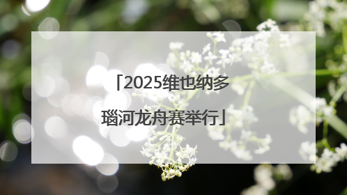 2025维也纳多瑙河龙舟赛举行