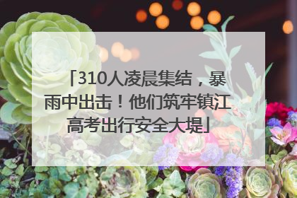 310人凌晨集结，暴雨中出击！他们筑牢镇江高考出行安全大堤