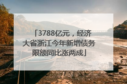 3788亿元，经济大省浙江今年新增债务限额同比涨两成
