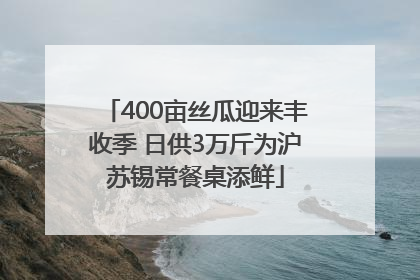 400亩丝瓜迎来丰收季 日供3万斤为沪苏锡常餐桌添鲜
