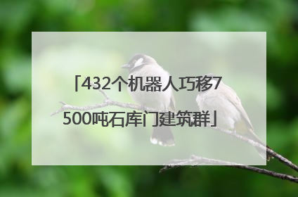 432个机器人巧移7500吨石库门建筑群