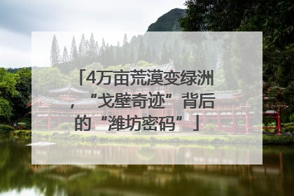 4万亩荒漠变绿洲，“戈壁奇迹”背后的“潍坊密码”