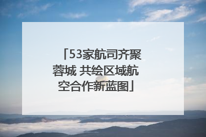 53家航司齐聚蓉城 共绘区域航空合作新蓝图
