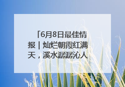 6月8日最佳情报｜灿烂朝霞红满天，溪水潺潺沁人心！恭喜获奖
