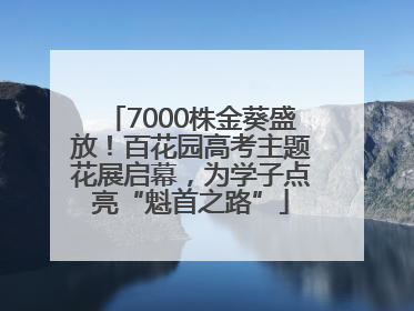 7000株金葵盛放！百花园高考主题花展启幕，为学子点亮“魁首之路”