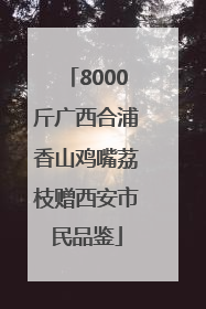 8000斤广西合浦香山鸡嘴荔枝赠西安市民品鉴