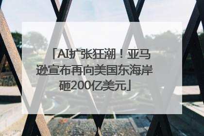 AI扩张狂潮！亚马逊宣布再向美国东海岸砸200亿美元