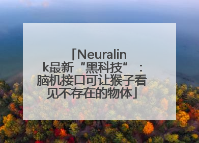 Neuralink最新“黑科技”：脑机接口可让猴子看见不存在的物体